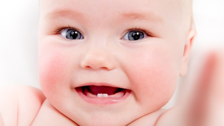 生後8ヶ月 歯が生える 生えない 歯磨き