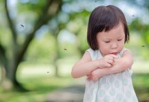 赤ちゃんの虫除け対策！スプレーや蚊取り線香は大丈夫？
