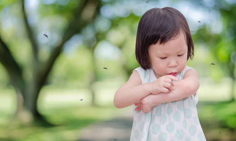 赤ちゃんの虫除け対策！スプレーや蚊取り線香は大丈夫？