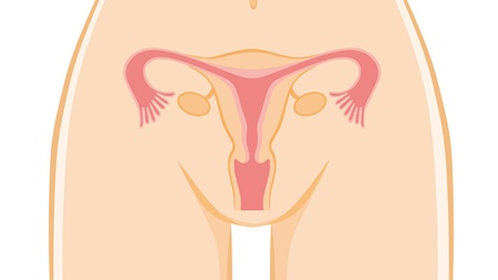子宮回復のバロメーター