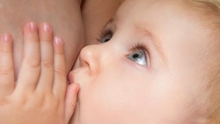 離乳食初期の母乳やミルクの量